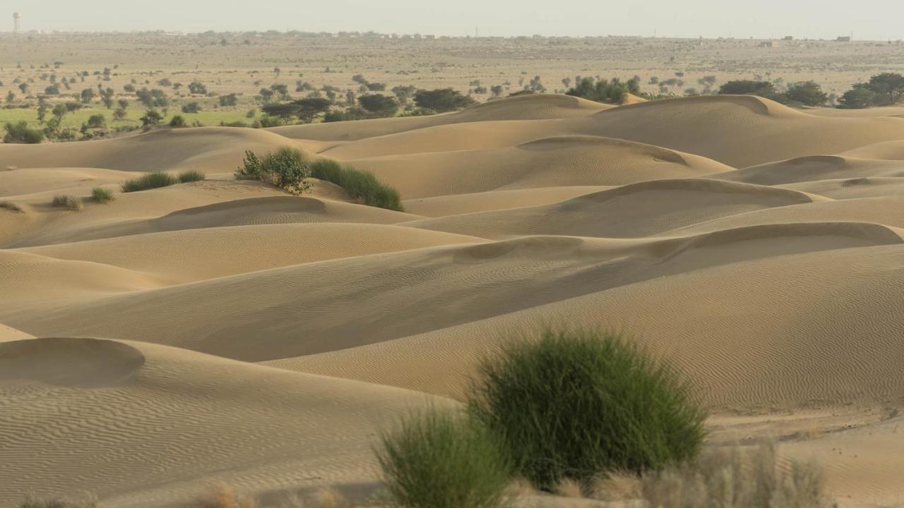 Hotel Helsinki House Jaisalmer Bagian luar foto